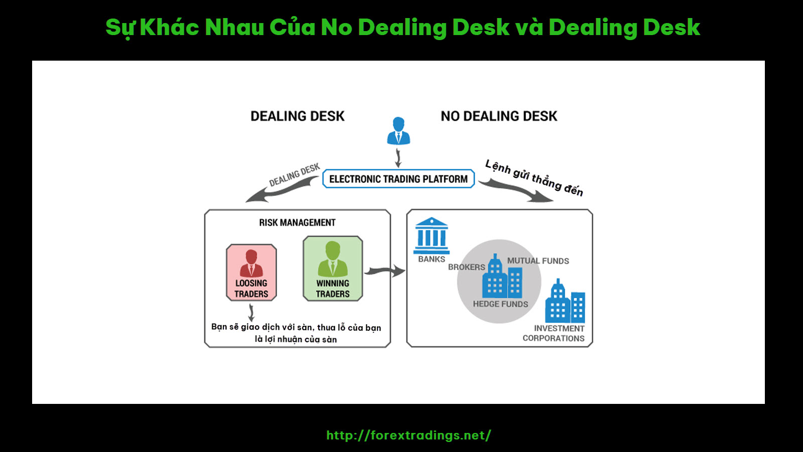 Sự Khác Nhau Của No Dealing Desk và Dealing Desk